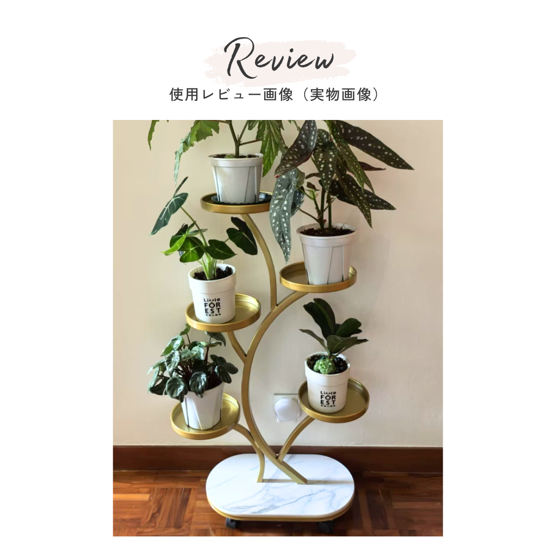 【早割対象】ラグジュアリーボタニカルスタンド